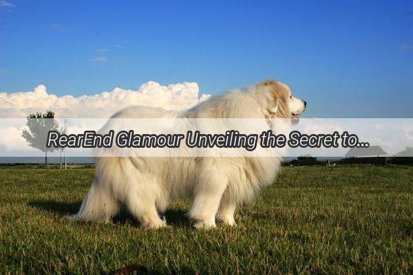  RearEnd Glamour Unveiling the Secret to Flawless Pup Fur